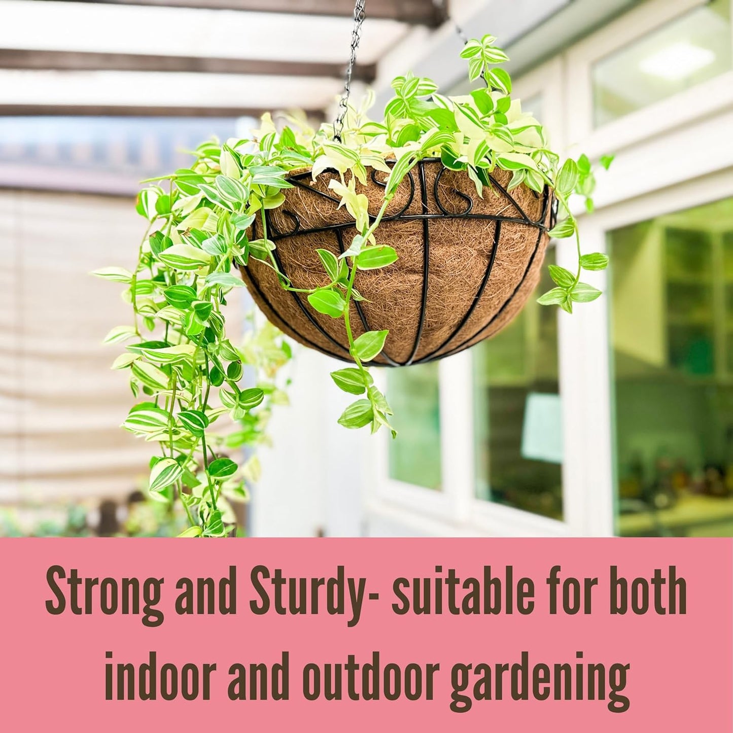 LaLaGreen Hanging Planter for Outdoor Plants (14 Inch, 2 Pack) Black Hanging Baskets with Coco Liner, Metal Wire Flower Basket Pots with Hook Hanger Balcony Porch Farmhouse Country Style Garden Decor