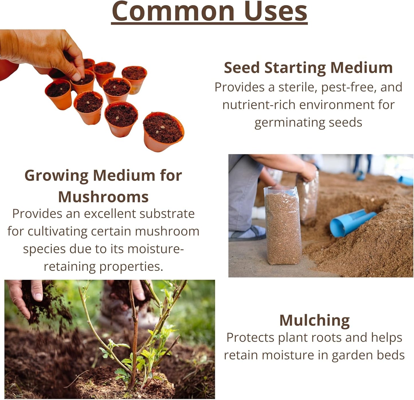 LaLaGreen Indoor Potting Soil (50mm, 20 Pack) Compressed Coco Coir Peat Pellets Organic Seed Starter Nutrient Pods Plugs for Planting Bonsai Herbs Plants Flowers and Vegetables Seedling Outdoor Garden