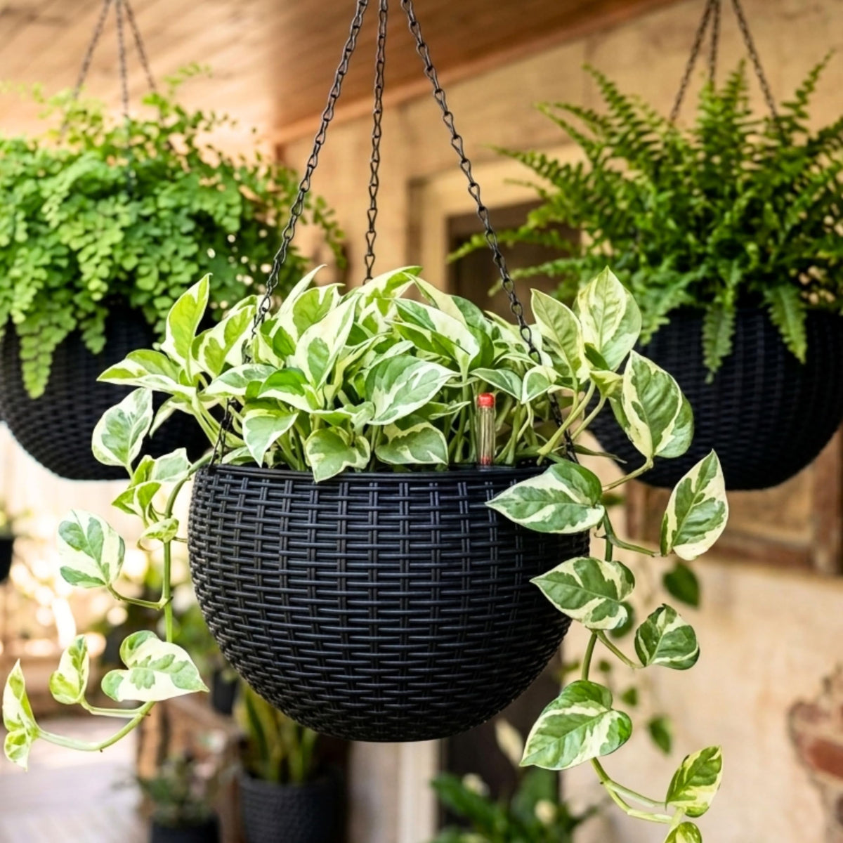 LaLaGreen Self-Watering Hanging Planters