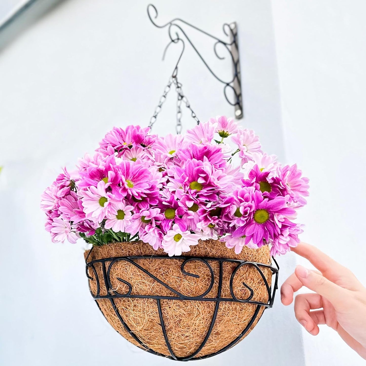 LaLaGreen Hanging Planter for Outdoor Plants (12 Inch, 6 Pack) Hanging Baskets with Coco Liner, Black Metal Wire Flower Basket Pots with Hook Hanger Balcony Porch Farmhouse Country Style Garden Decor