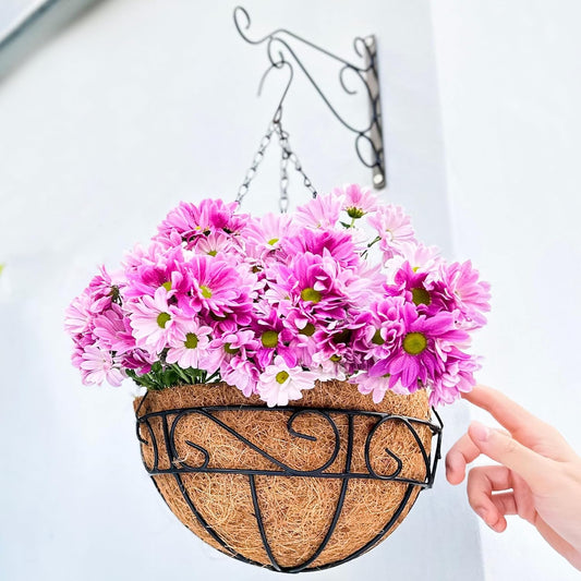 LaLaGreen Hanging Planter for Outdoor Plants (12 Inch, 6 Pack) Hanging Baskets with Coco Liner, Black Metal Wire Flower Basket Pots with Hook Hanger Balcony Porch Farmhouse Country Style Garden Decor