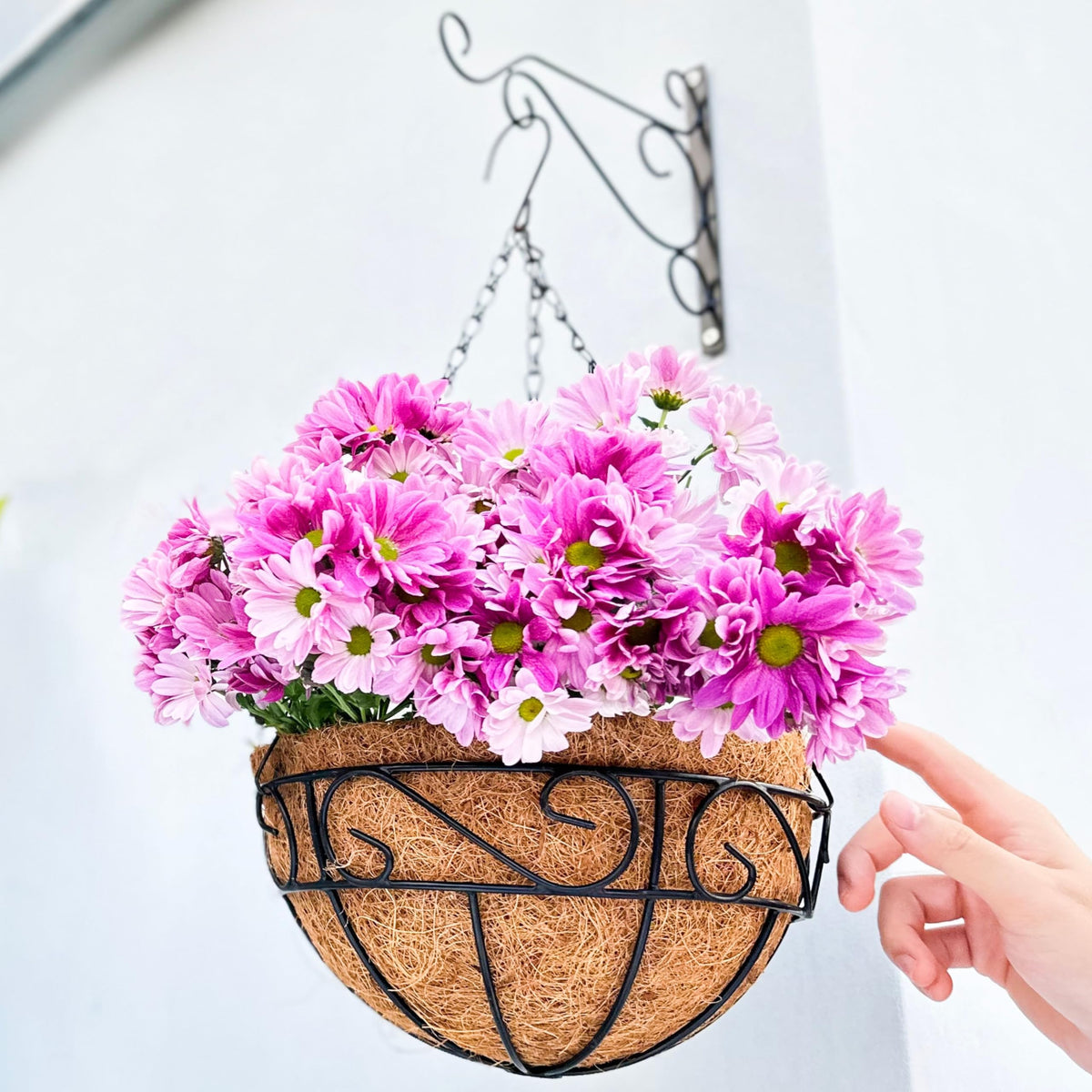 LaLaGreen Hanging Planter for Outdoor Plants (10 in, 2 Pack) Black Metal