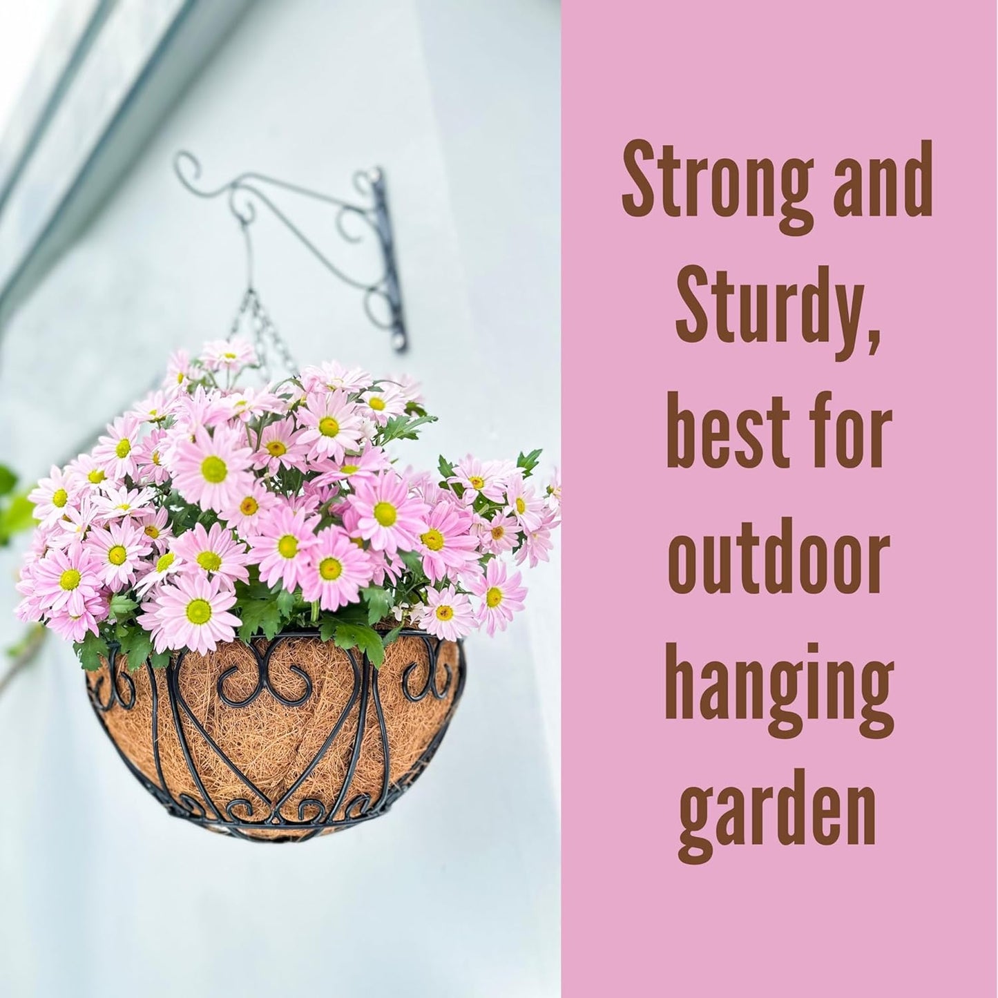 LaLaGreen Hanging Baskets for Plants (6 Pack, 14 Inch) Hanging Flower Pots with Coco Liner, Black Metal Wire Round Basket Plant Holder with Hanger Hook Chain, Outdoor Patio Deck Balcony Garden Décor