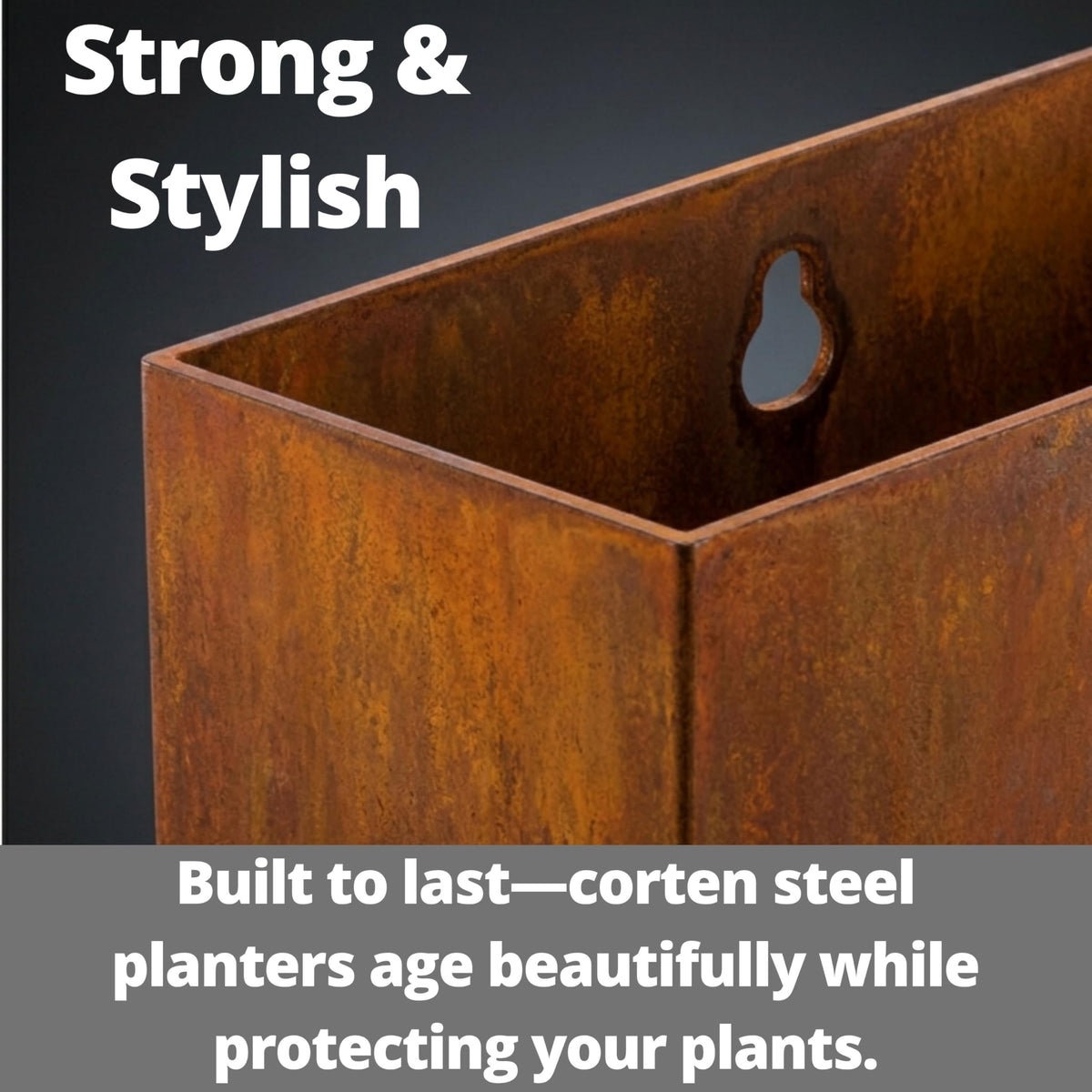 LaLaGreen Triangular Weathering Steel Wall Planters — Rust, 2-Pack