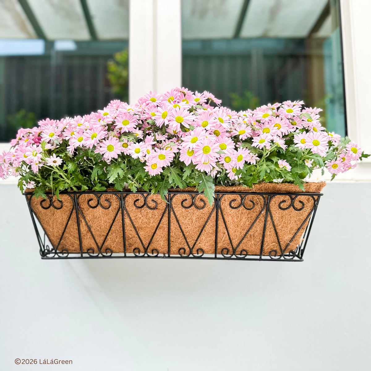 LaLaGreen Rectangular Coconut Coir Replacement Liners