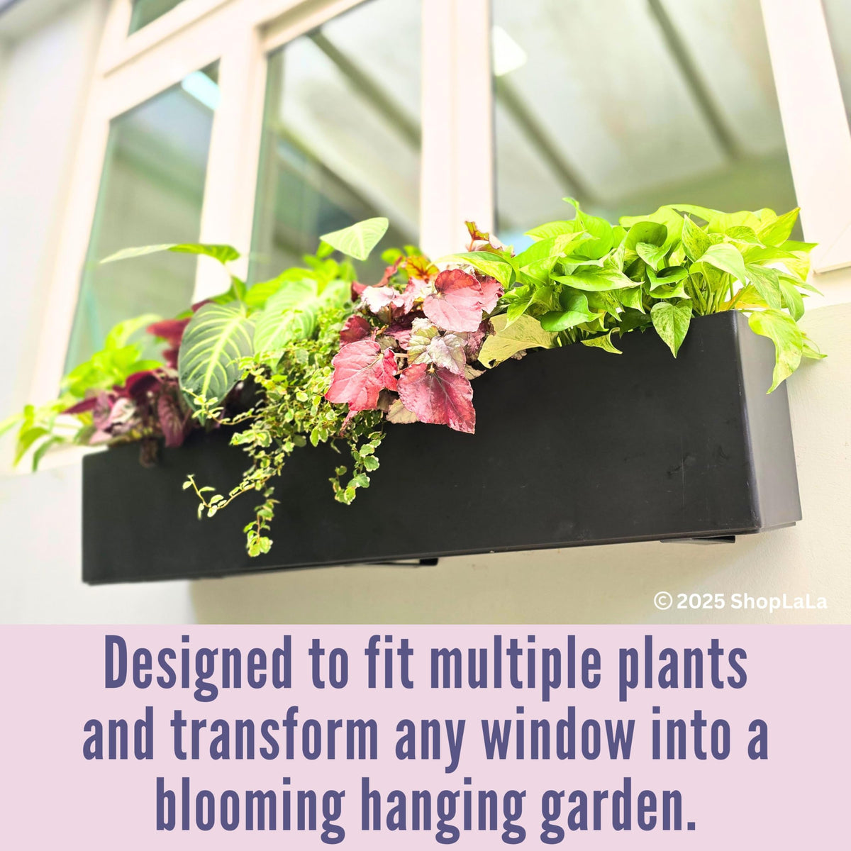 LaLaGreen Hanging Planter Boxes Outdoor (40 Inch, 2 Pack) Black Window Flower Box with Bracket, Large Rectangular Self Watering System Vertical Plant Container Wall Mounted Indoor Succulent Herb Decor
