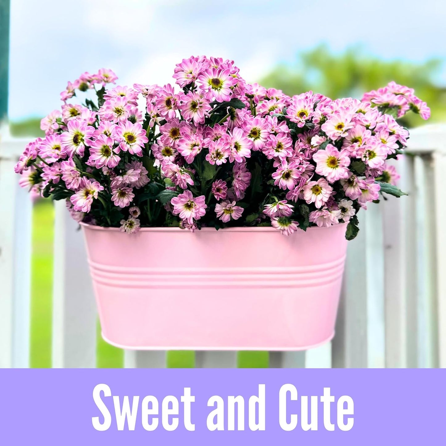 LaLaGreen Outdoor Hanging Planter (11.2 Inch, 6 Pack) Light Pink, Light Purple, Turquoise, Light Blue, Dark Purple, Cadet Blue Metal Iron Window Box Flower Pot Deck Railings Fence Porch Garden Decor