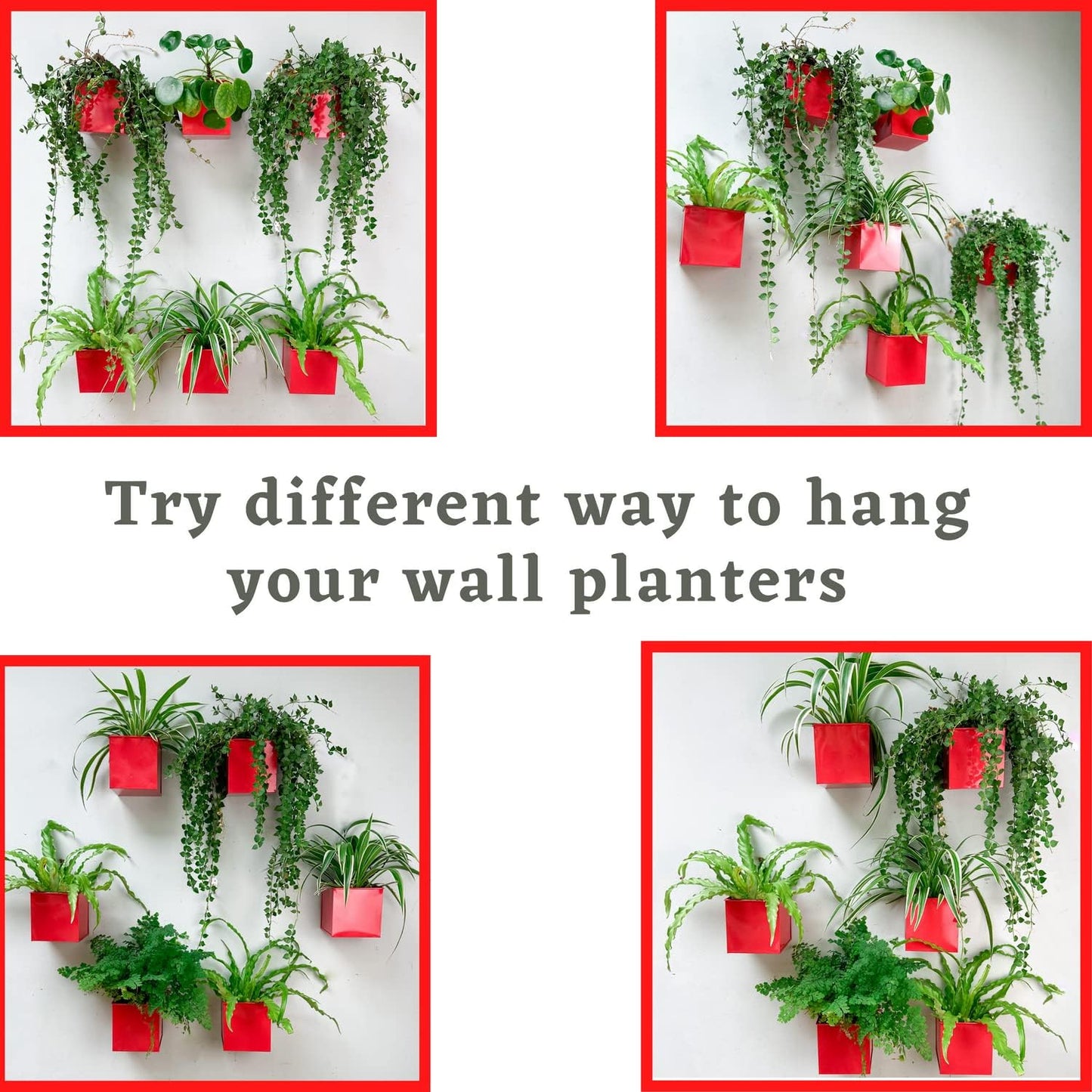 LaLaGreen Wall Planter - 6 Pack, 4 Inch Square Red Metal Wall Planter for Indoor Plants, Small Wall Mounted Christmas Decoration Flower Pots Outdoor Herb Garden, Balcony Railings Buckets Fence Porch
