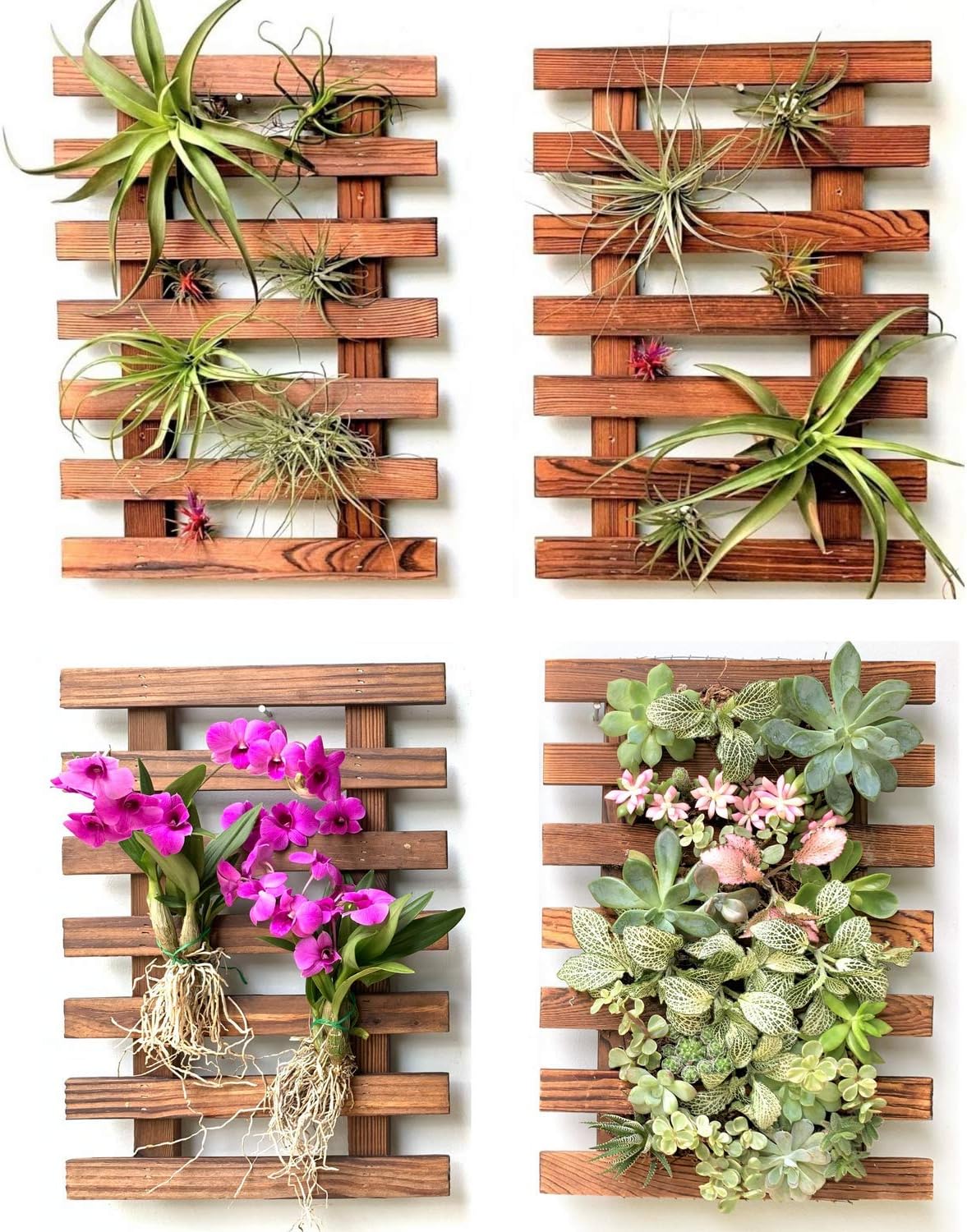 ShopLaLa Wall Planter – Wooden Air Plant Succulent Holder Hanger Indoor Outdoor, Live Orchid Wall Wood Display Frame Vertical Garden Balcony Deck Bathroom Macetas para Plantas De Aire 15.7" (40cm)