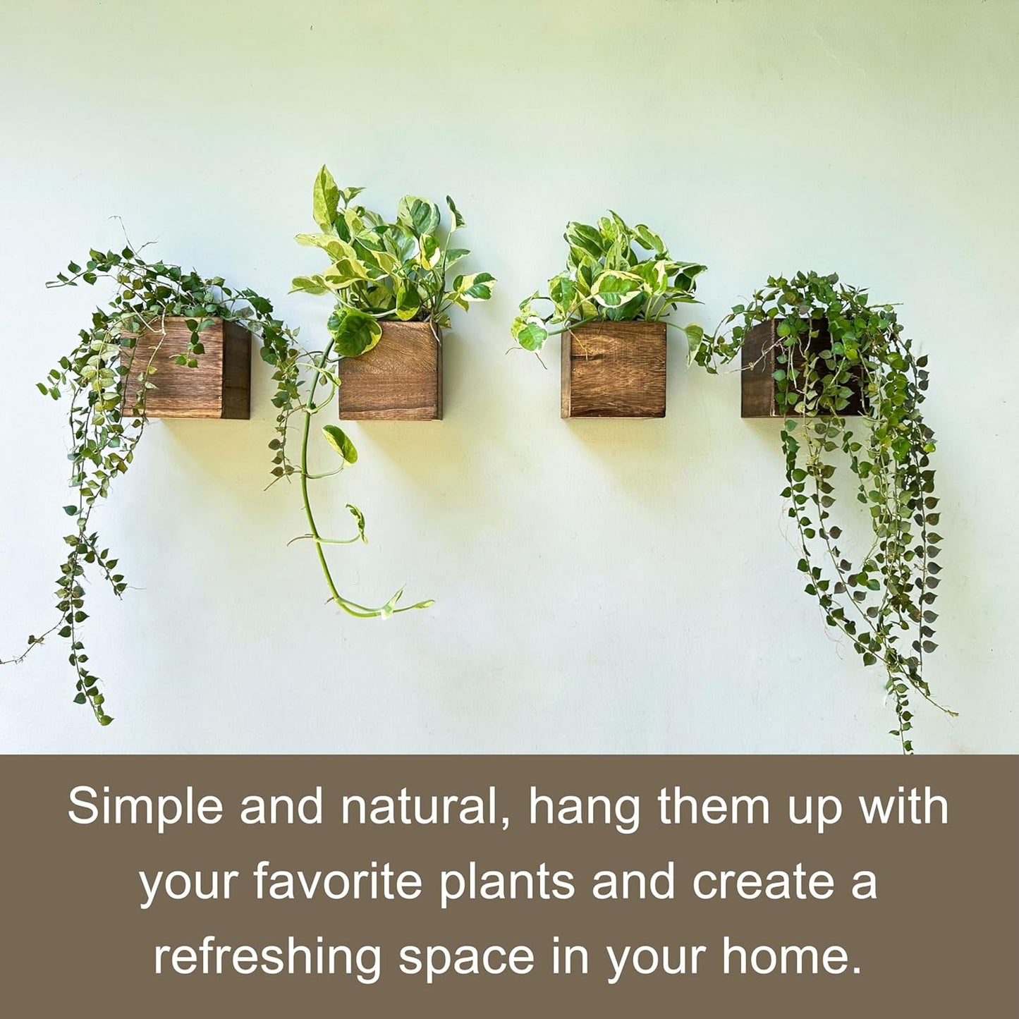 LaLaGreen Wood Planter Box for Plants (4x4 Inch, 2 Pack) Small Square Wall Planters for Indoor Plant, Window Hanging Flower Pot Wooden Boxes for Table Centerpiece Herb Balcony Home Garden Office Decor