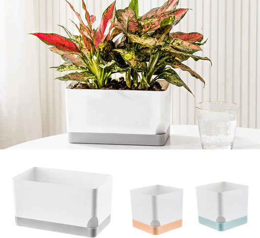 LaLaGreen Planters for Indoor Plants (3 Pack) Self-Watering Window Boxes Planters, Assorted Color Rectangular Herb Garden Long Windowsill Plant Pots with Drainage Modern Stylish Outdoor Flower Box