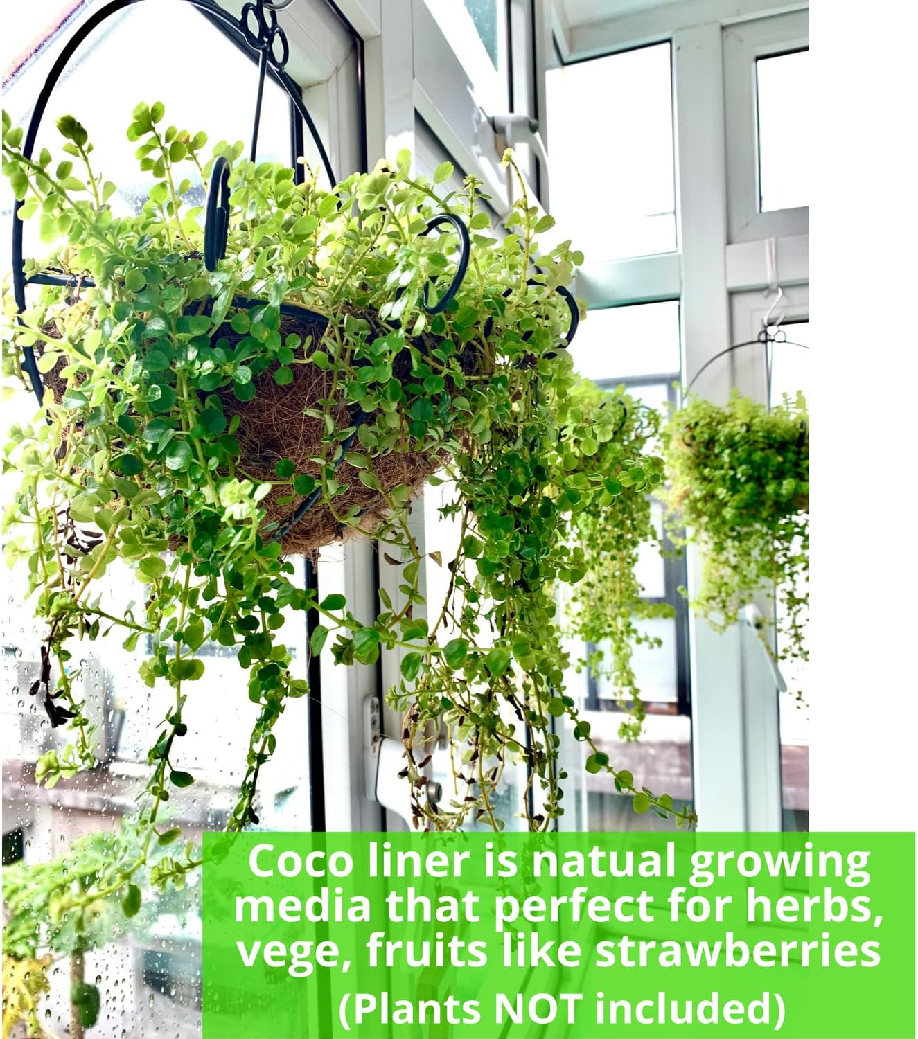 Shoplala Wall Planters for Outdoor Plants (4 Pack, 10 Inch) Metal Black Wire Flower Baskets with Coco Liner, Fence Hanging Planter Balcony Over Deck Porch Railing Rail Patio Modern Herb Outside Garden