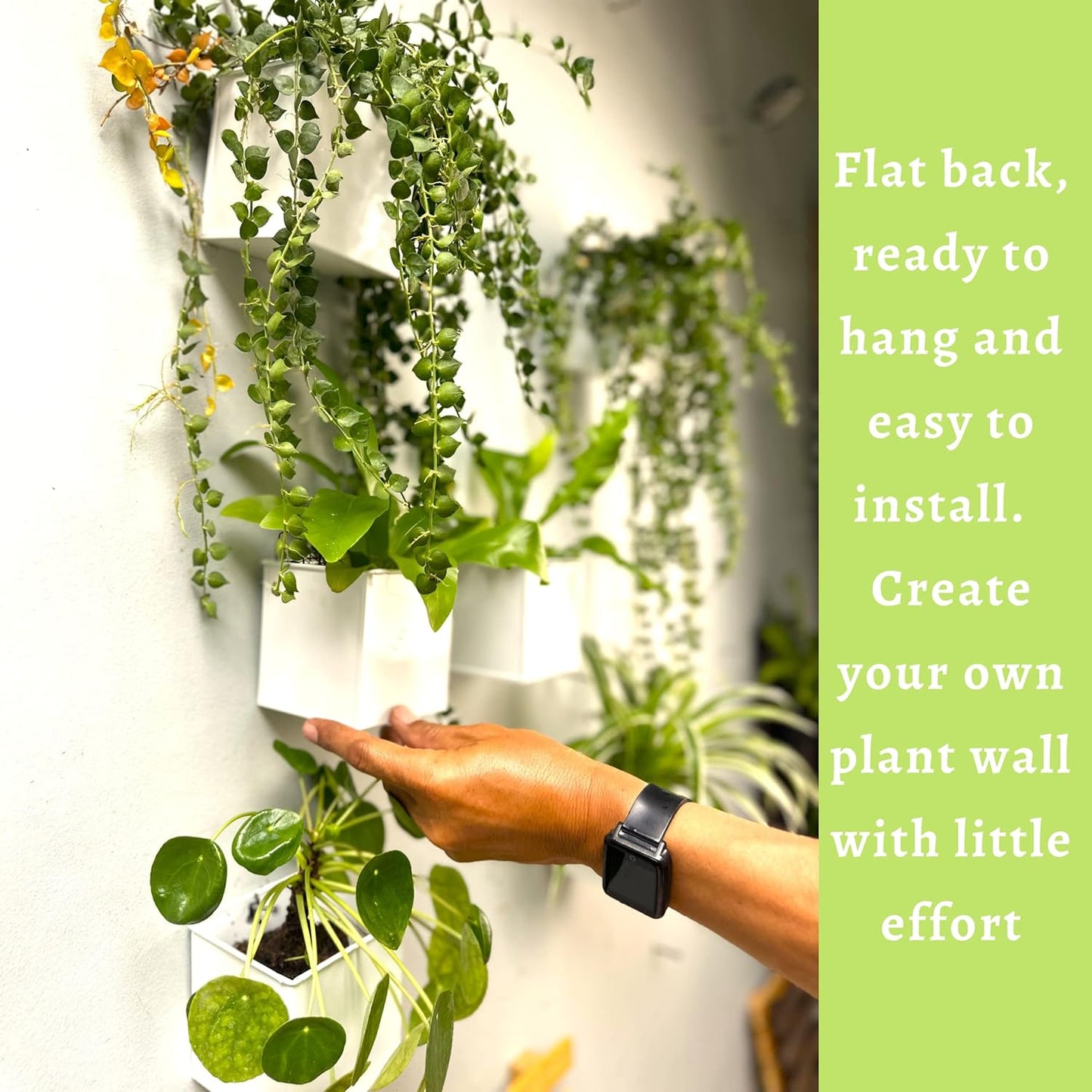 LaLaGreen Wall Planter - 6 Pack, 4 Inch Square Metal Wall Planter for Indoor Plants, Small White Wall Mounted Flower Pots Outdoor Herb Garden Decor, Balcony Railings Hanging Buckets Porch Patio