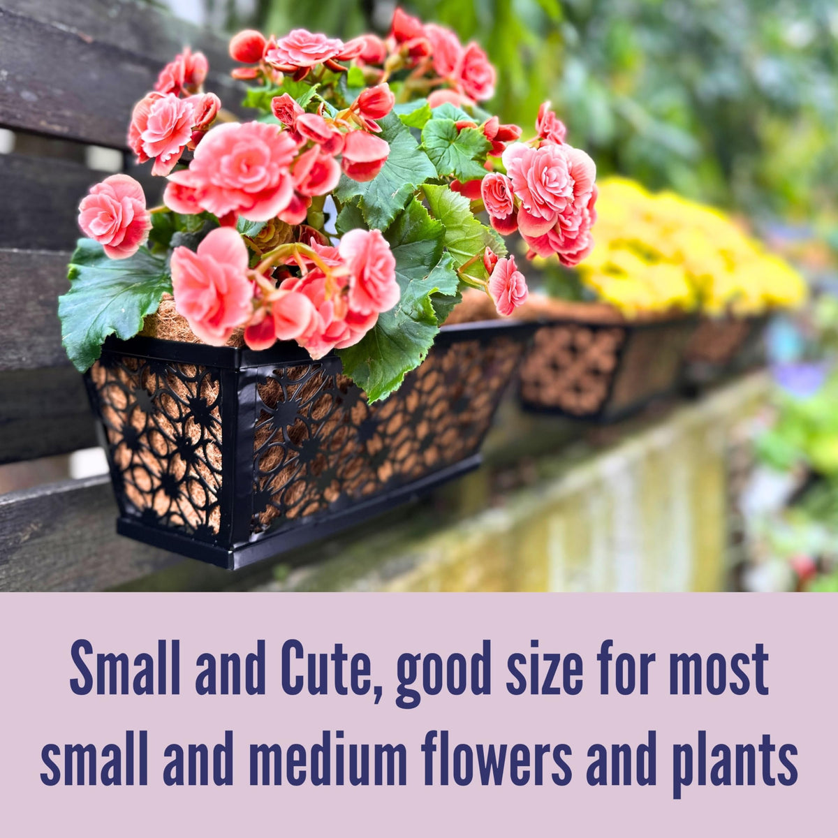 LaLaGreen Flower Wall Planter (12 in, 2 Pack) Black Metal Window Boxes