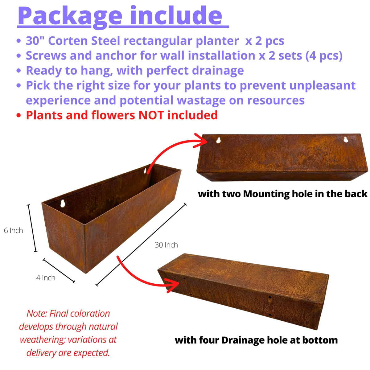 LaLaGreen Triangular Weathering Steel Wall Planters — Rust, 2-Pack