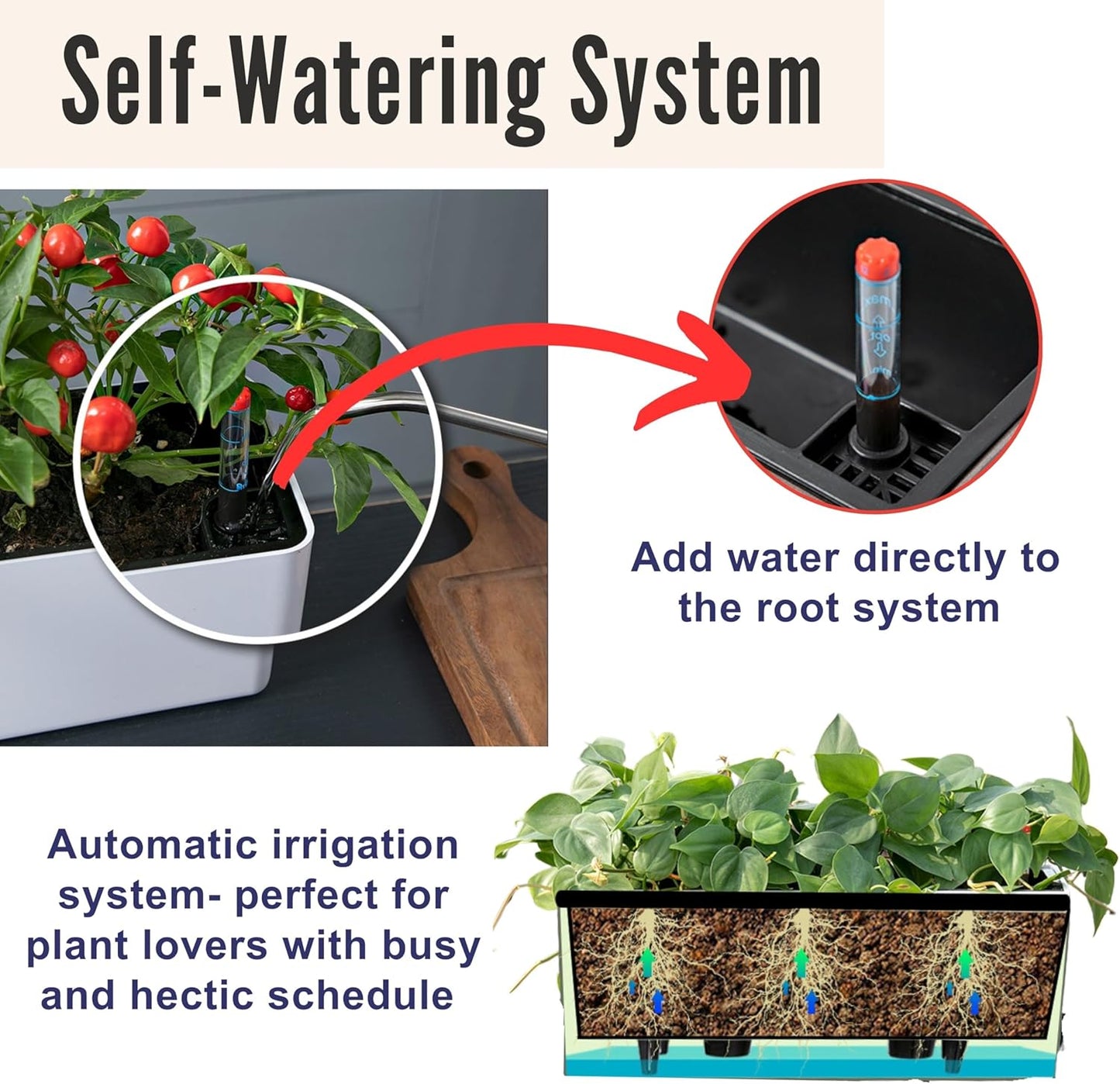 LaLaGreen Planter Box for Indoor Plants (2 Pack, 16 Inch) White Rectangular Self Watering Flower Pot, Large Window Boxes Planters with Drainage Decorative Modern Balcony Windowsill Herbs Home Garden