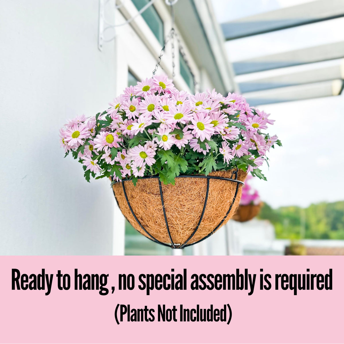 LaLaGreen Hanging Baskets for Plants (10 in, 6 Pack) Coco Liner Flower Pots