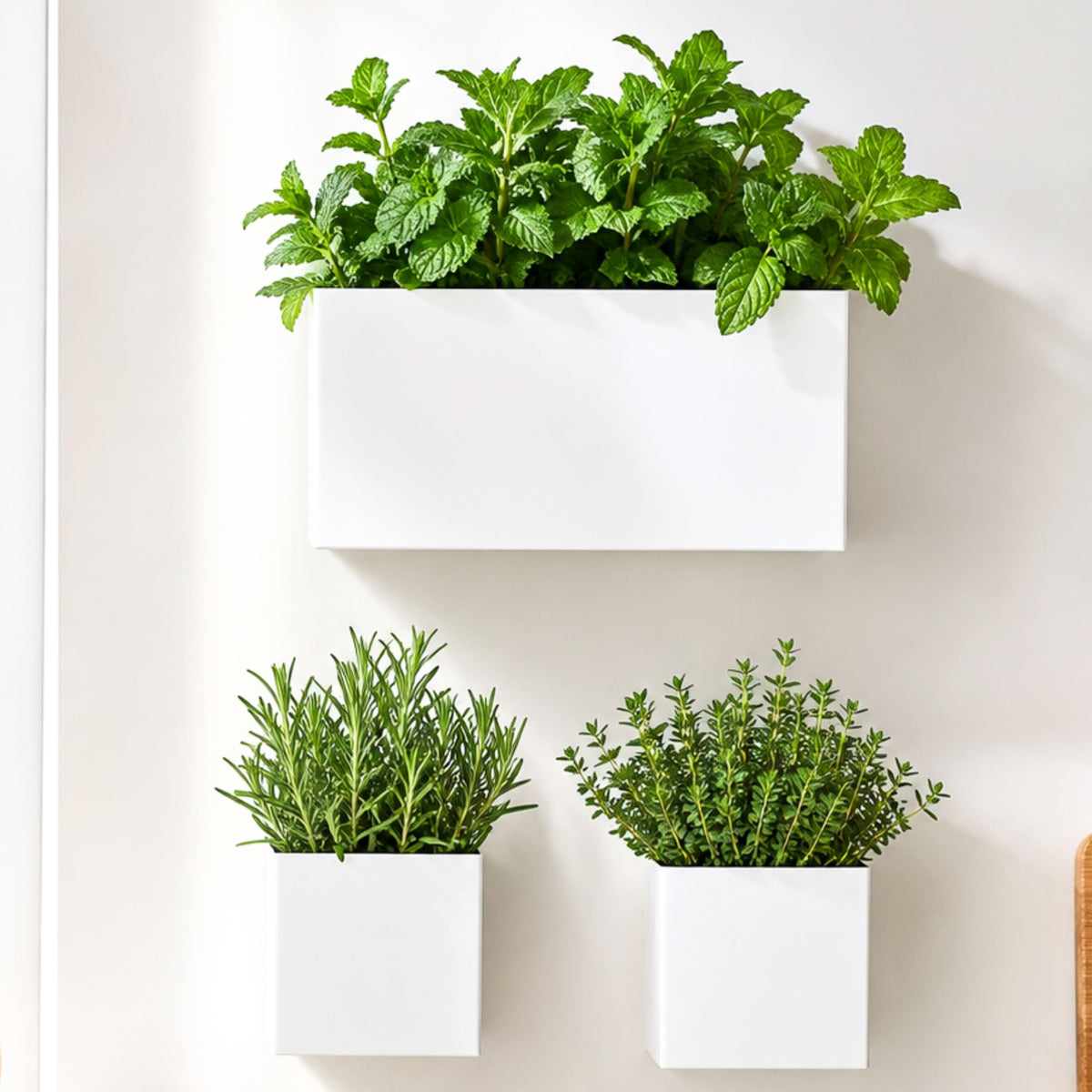 LaLaGreen Rectangular Carbon-Steel Wall Planter Set