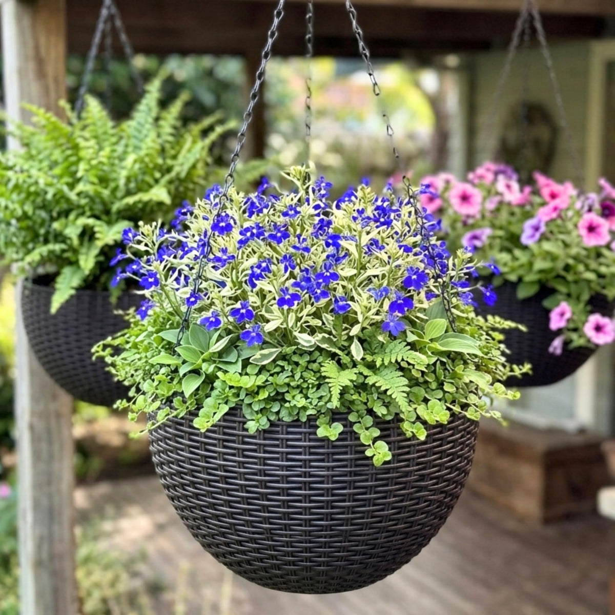 LaLaGreen Self-Watering Hanging Planters