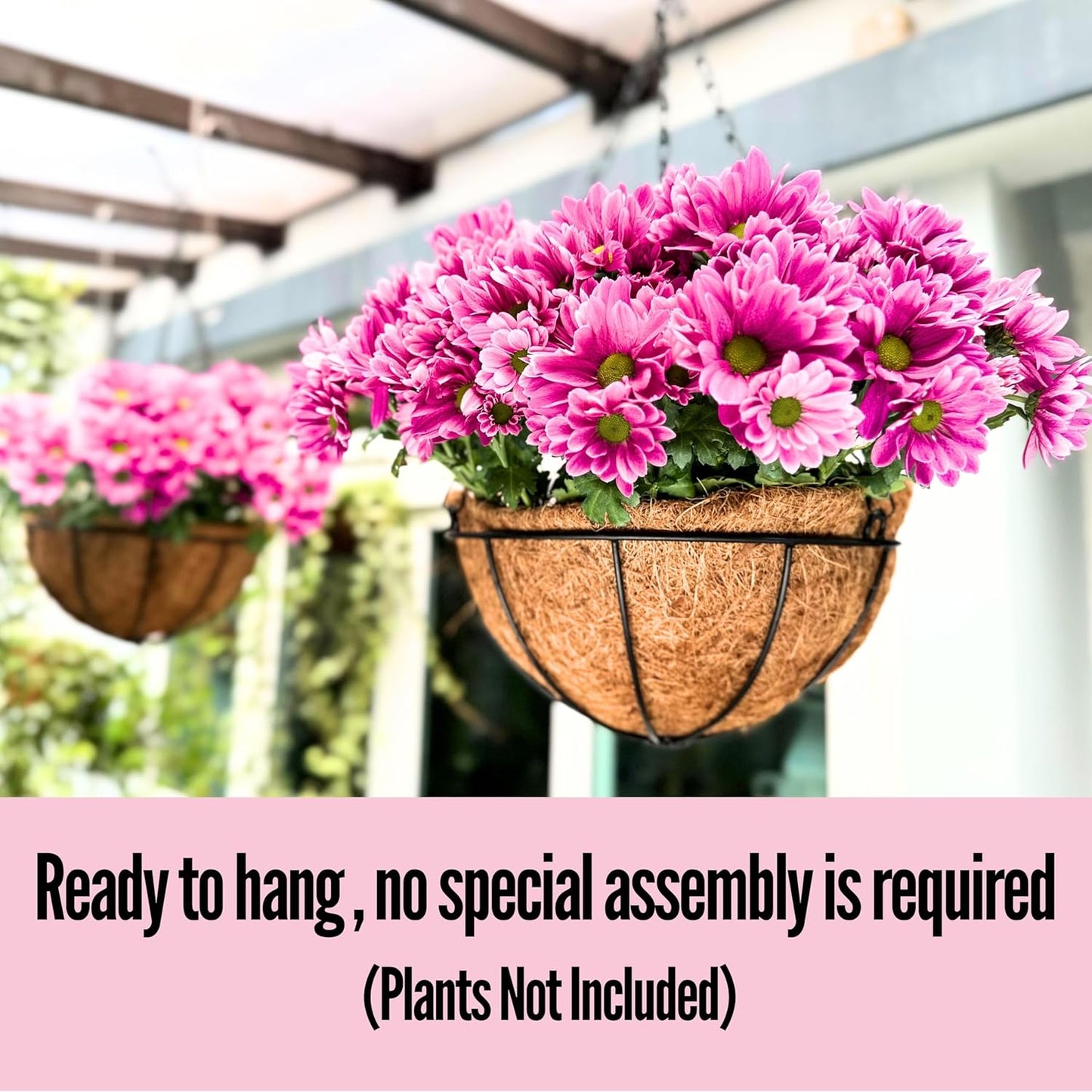 LaLaGreen Hanging Baskets for Outdoor Plants(14 Inch, 6 Pack) Large Hanging Planter with Coco Liner Round Flower Pots, Black Metal Wire Plant Holder Hook Hanger Deck Porch Modern Garden Balcony Decor