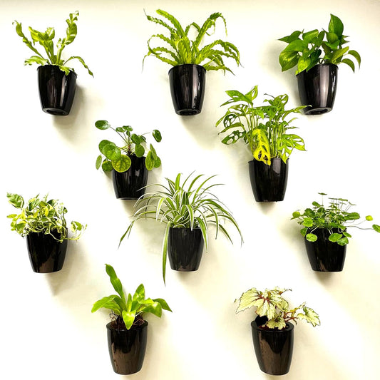 LaLaGreen Small Self-Watering Wall Planters