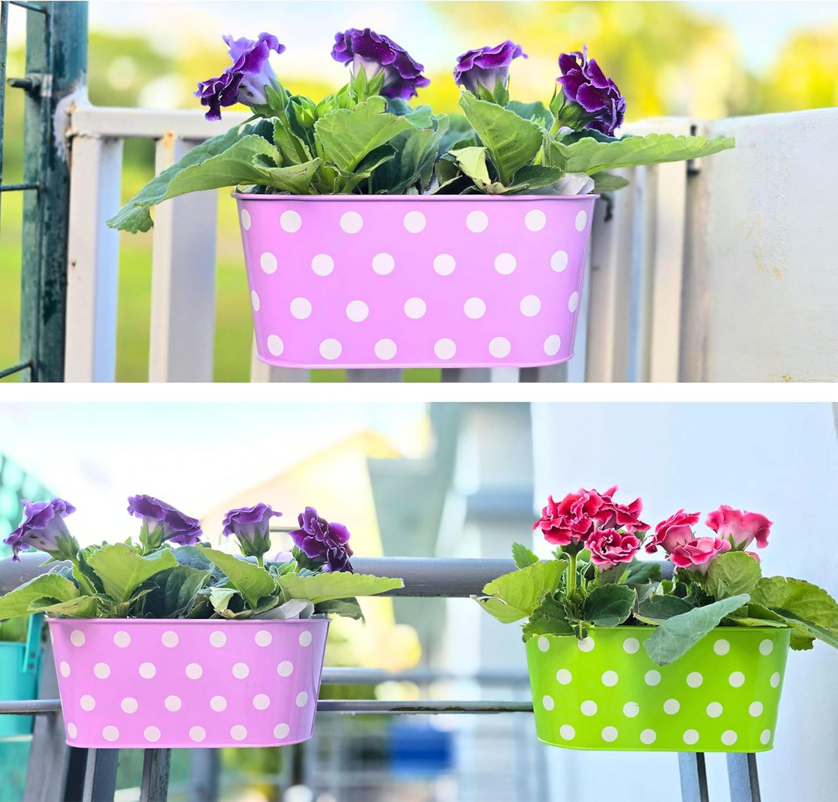 LaLaGreen Polka Dot Metal Railing Planter Boxes — 11.2 in