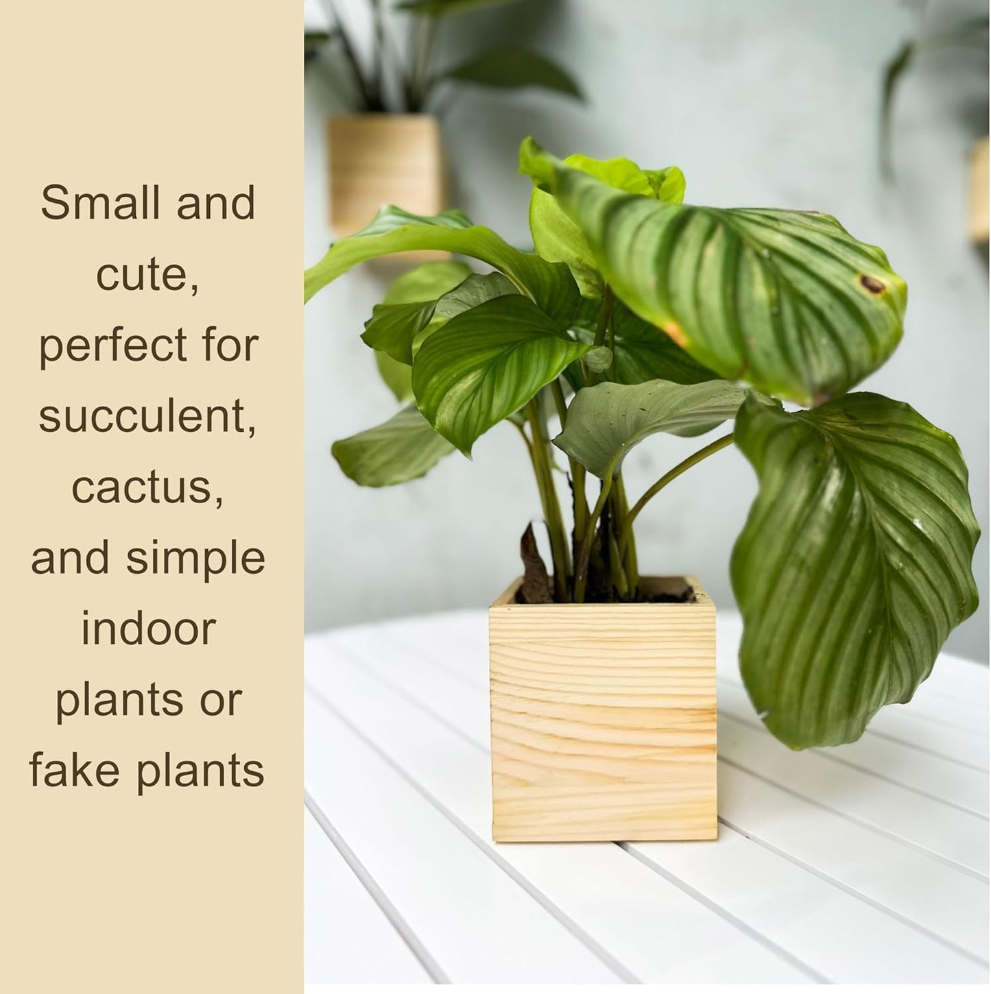 LaLaGreen Wooden Planter Box for Plants (2 Pack, 4x4 Inch) Small Square Wall Planters for Indoor Plant, Natural Wood Hanging Flower Pot Boxes Table Centerpiece Herb Balcony Home Garden Office Decor