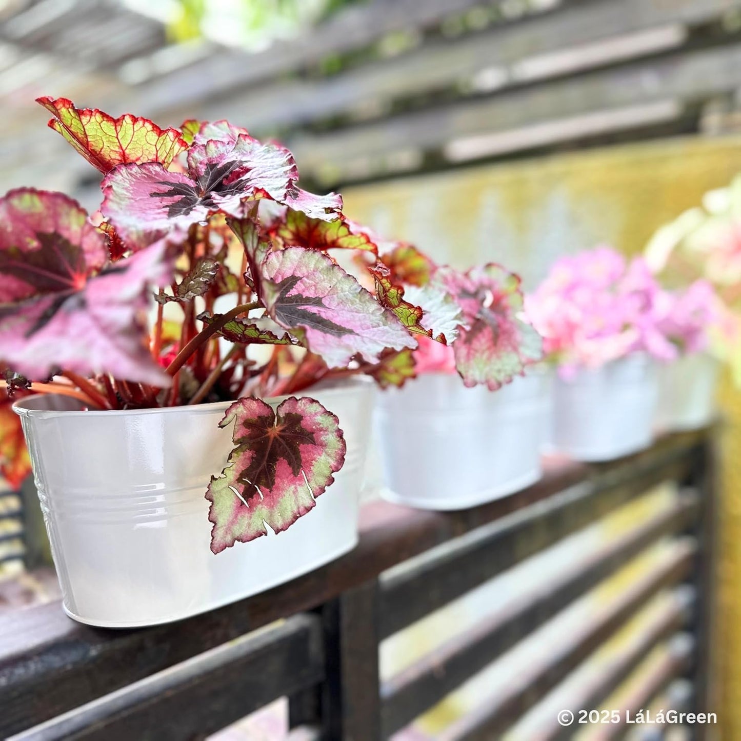 LaLaGreen Planter Boxes for Outdoor (6 Pack, 17 Inch) White Metal Deck Railing Hanging Flower Pots, Large Window Box Plant Holder Hooks Fence Rail Buckets Modern Herb Boho Style Wall Mount Porch Decor