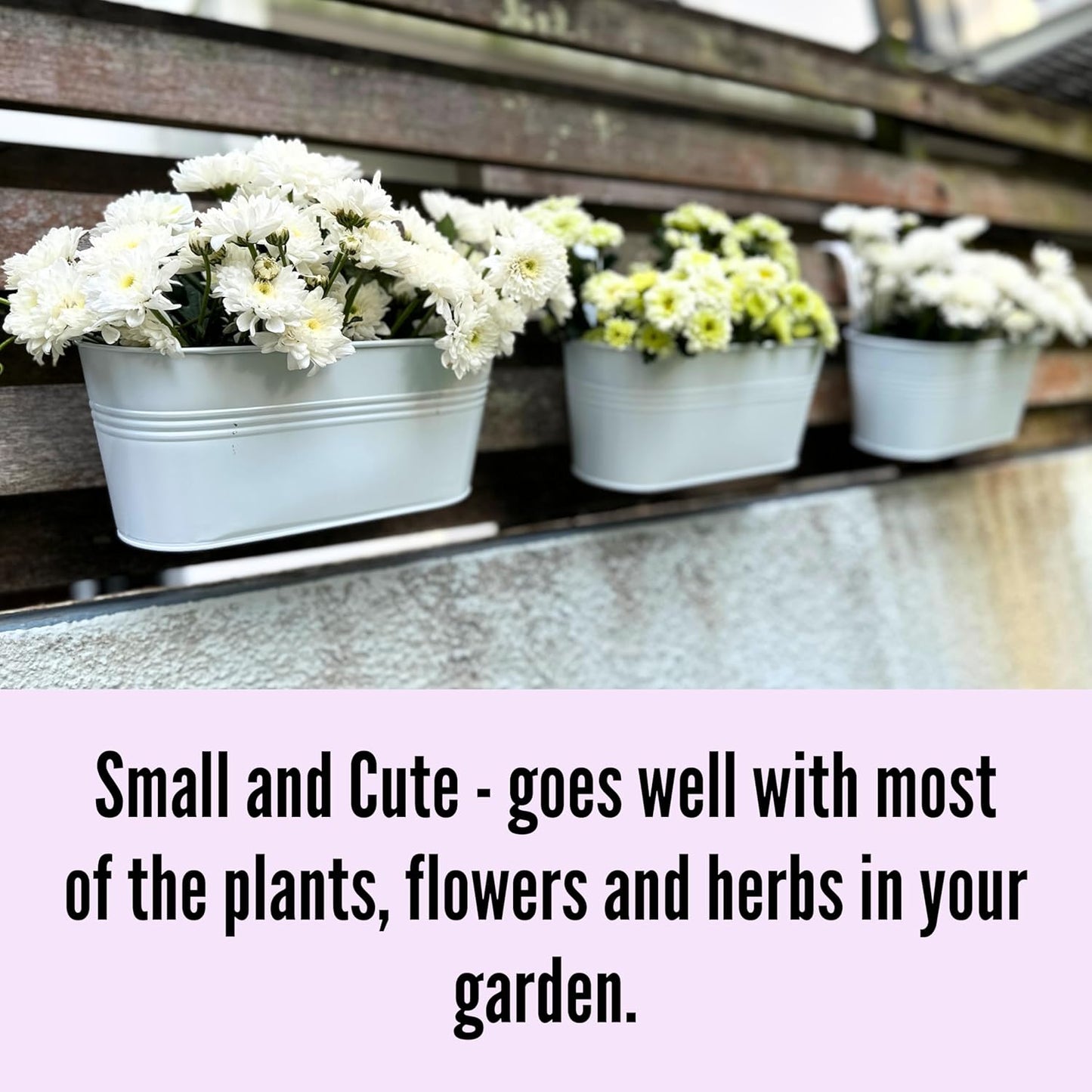 LaLaGreen Window Boxes Planters (5 Pack, 9.8 Inch) Small and Cute White Metal Iron Hanging Flower Pots, Deck Railings Outdoor Fence Buckets Boho Style Wall Mount Plant Holder Hooks Porch Garden Decor