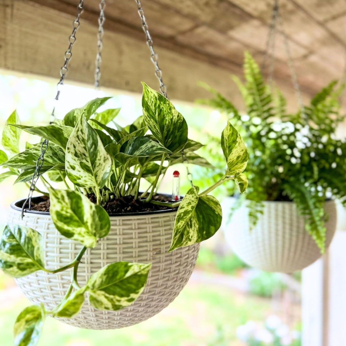 LaLaGreen Self-Watering Hanging Planters