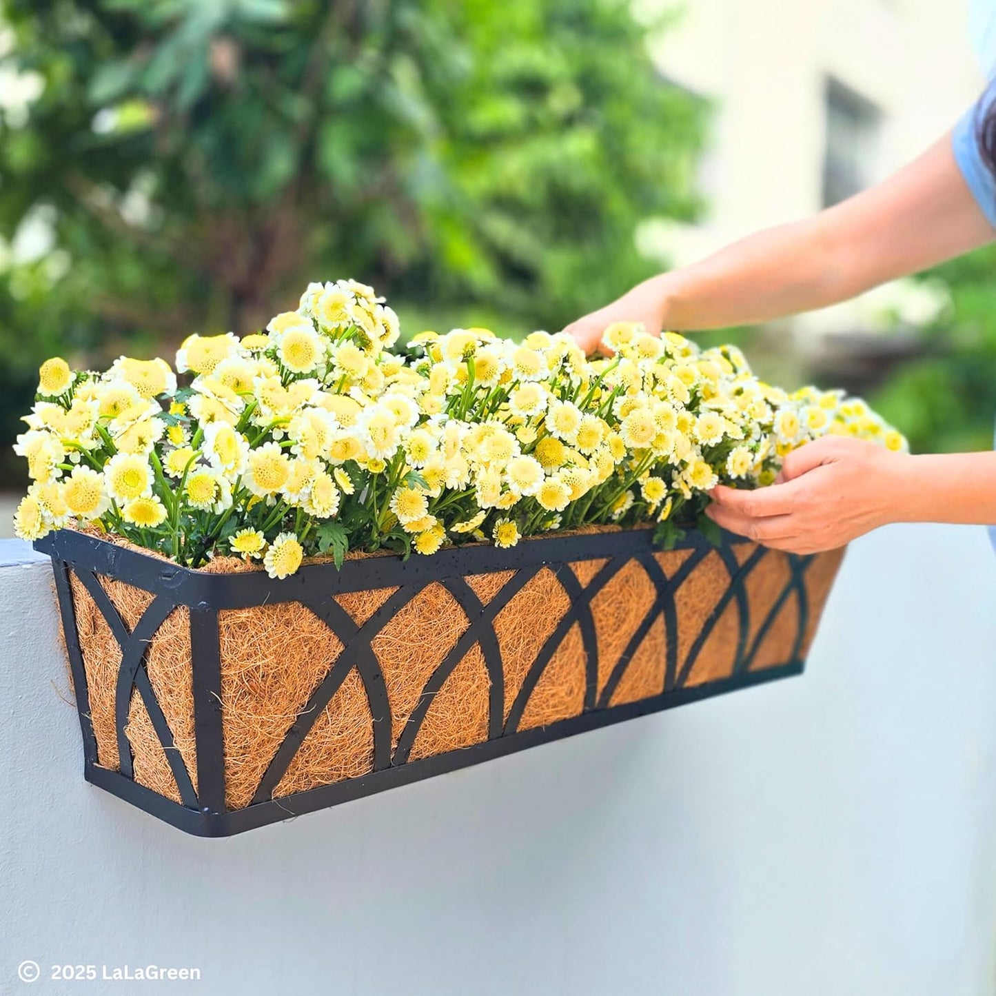 LaLaGreen Deck Railing Planter Boxes (30 Inch, 2 Pack) Wall Hanging Planters for Outdoor Plants, Black Metal Rectangular Window Flower Box with Coco Liner, Horse Trough Rail Fence Porch Patio Decor