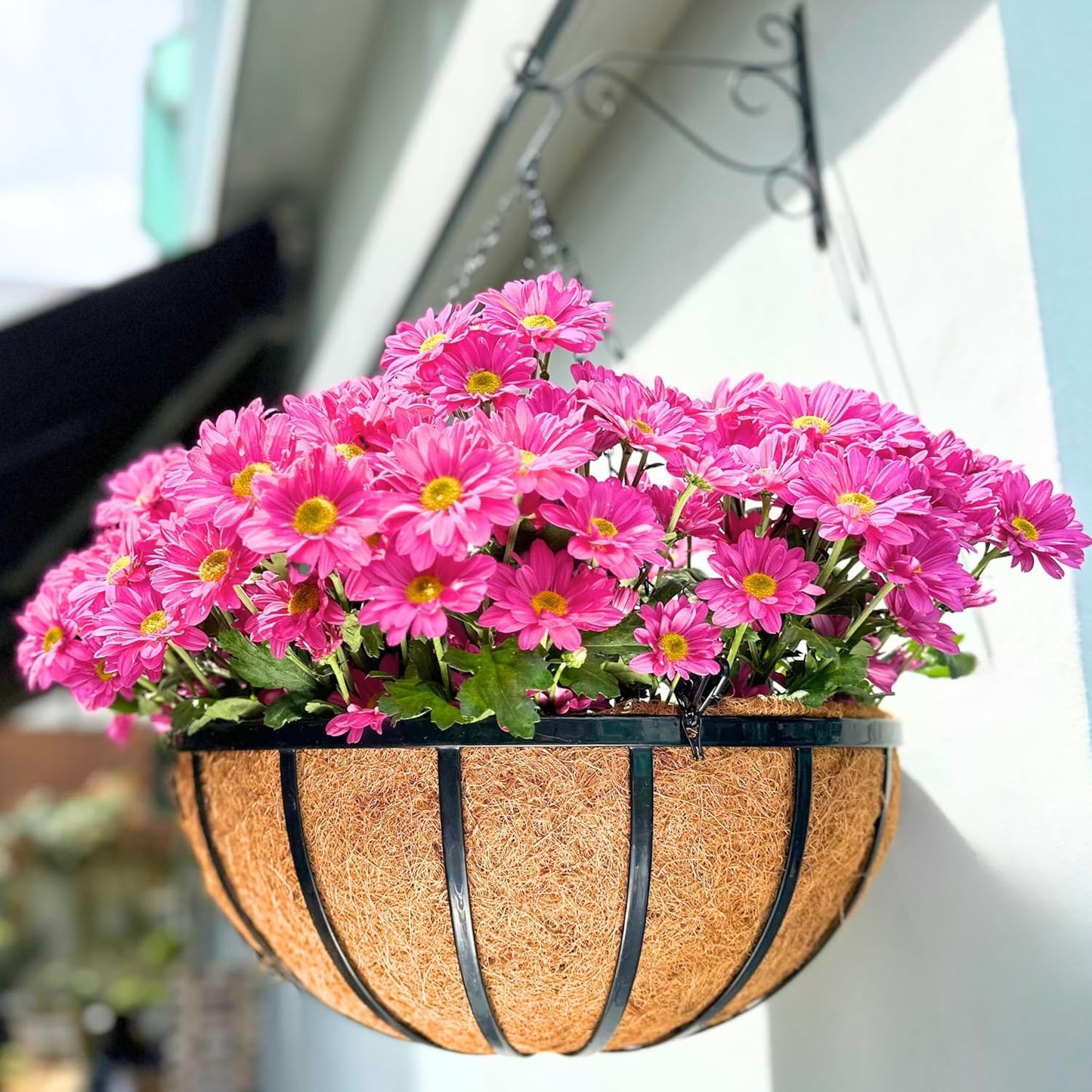 LaLaGreen Outdoor Hanging Baskets for Plants (2 Pack, 20 Inch) Extra Large Black Metal Flat Iron Hanging Planters with Coco Liner Round Flower Pot Holder Hanger Deck Porch Modern Garden Balcony Decor