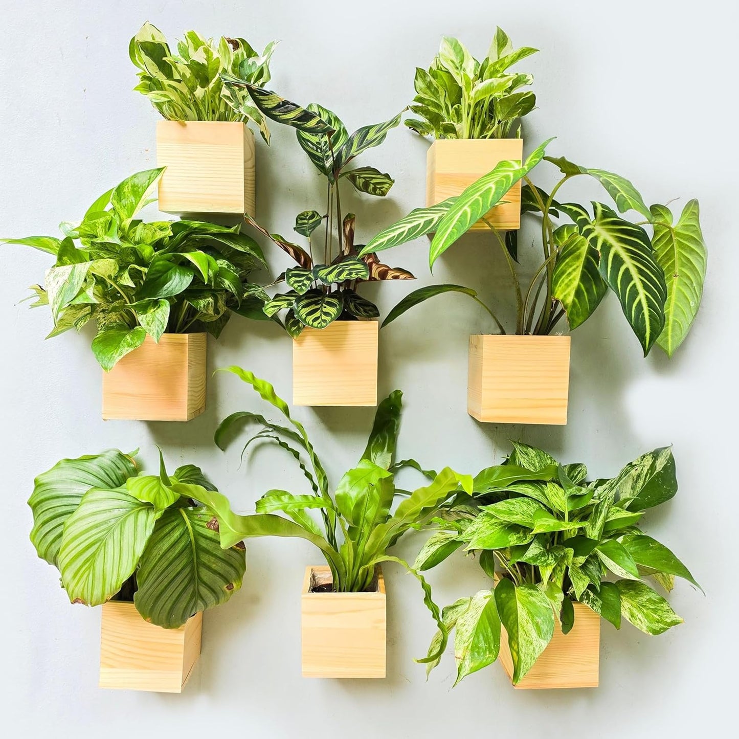 LaLaGreen Wooden Planter Box for Plants (2 Pack, 4x4 Inch) Small Square Wall Planters for Indoor Plant, Natural Wood Hanging Flower Pot Boxes Table Centerpiece Herb Balcony Home Garden Office Decor