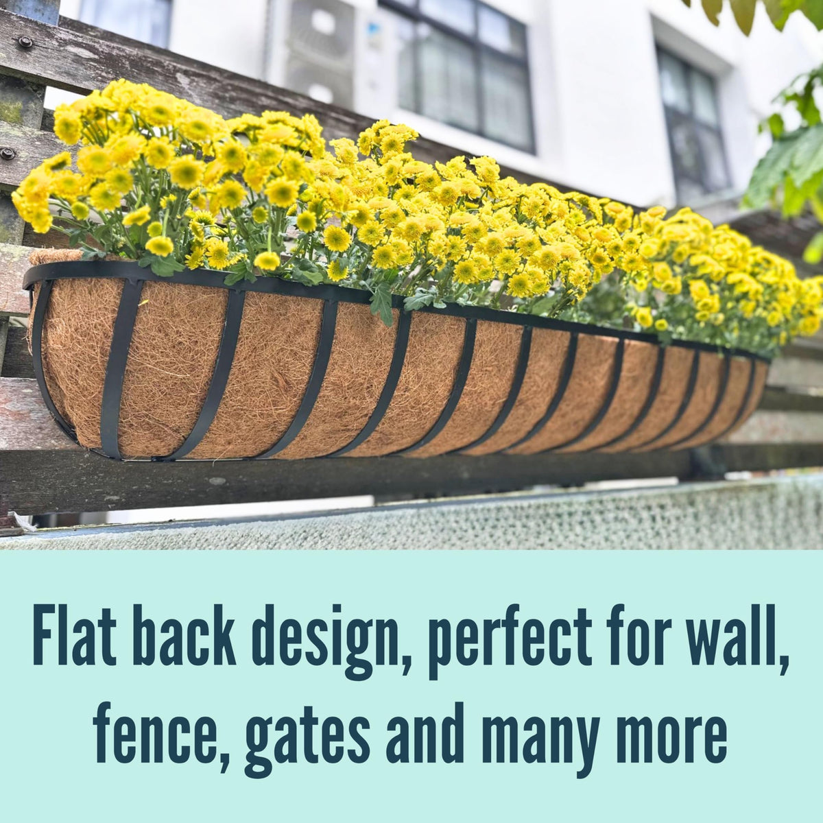 LaLaGreen Black Metal Wall Planter (24 in, 8 Pack) Window Flower Box Holder