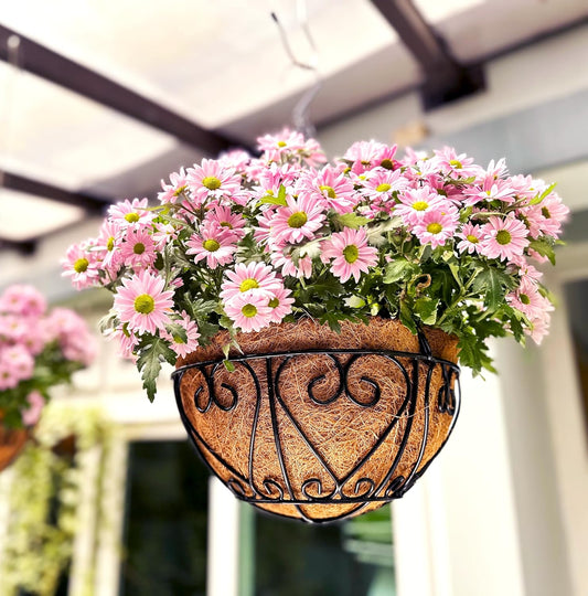 LaLaGreen Hanging Baskets for Plants (6 Pack, 14 Inch) Hanging Flower Pots with Coco Liner, Black Metal Wire Round Basket Plant Holder with Hanger Hook Chain, Outdoor Patio Deck Balcony Garden Décor