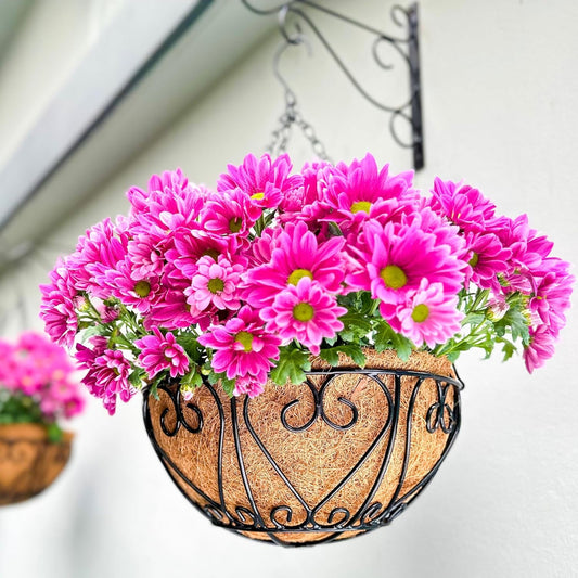 LaLaGreen Hanging Baskets for Plants (2 Pack, 12 Inch) Hanging Flower Pots with Coco Liner, Black Metal Wire Round Basket Plant Holder with Hanger Hook Chain, Outdoor Patio Deck Balcony Garden Décor