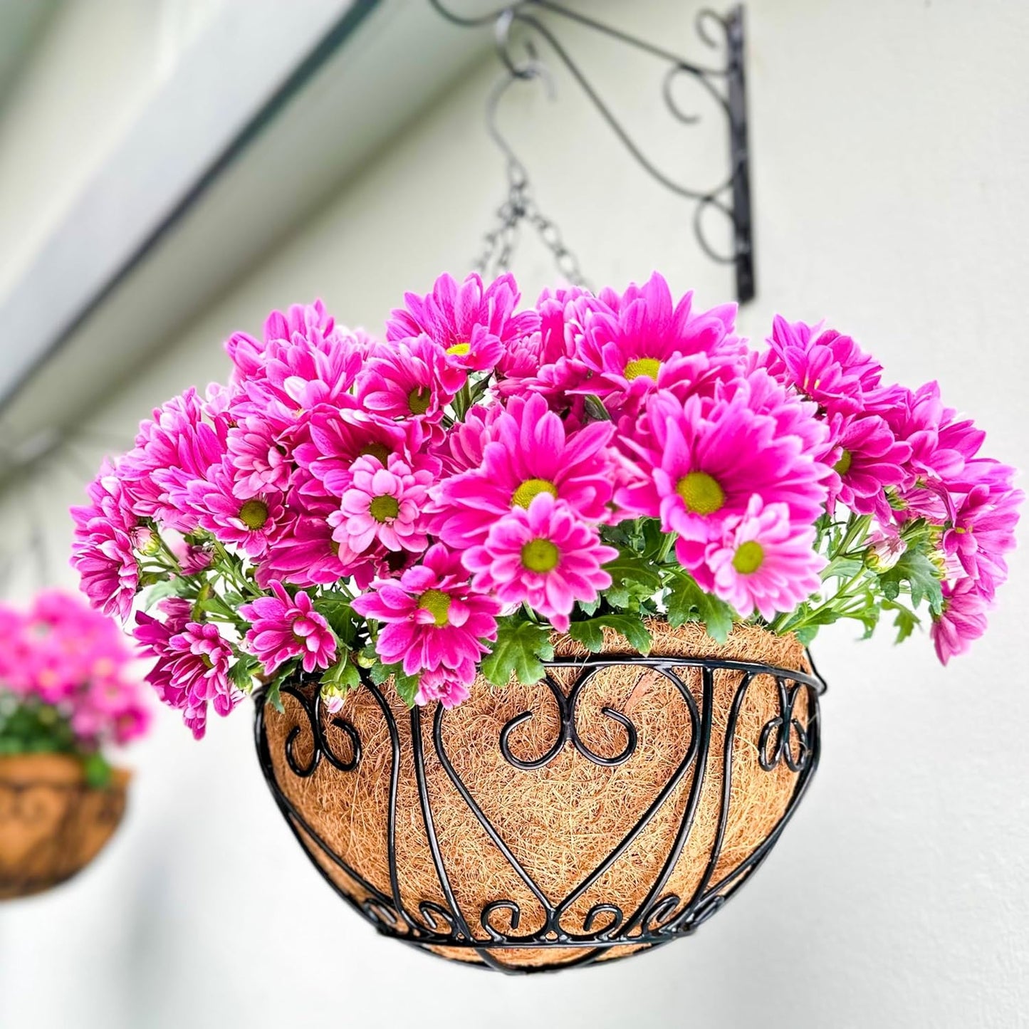 LaLaGreen Hanging Baskets for Plants (6 Pack, 12 Inch) Hanging Flower Pots with Coco Liner, Black Metal Wire Round Basket Plant Holder with Hanger Hook Chain, Outdoor Patio Deck Balcony Garden Décor