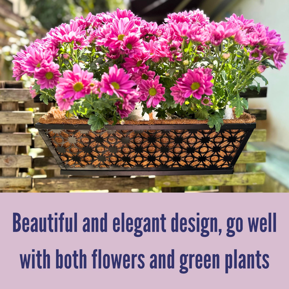 LaLaGreen Flower Wall Planter (12 in, 2 Pack) Black Metal Window Boxes