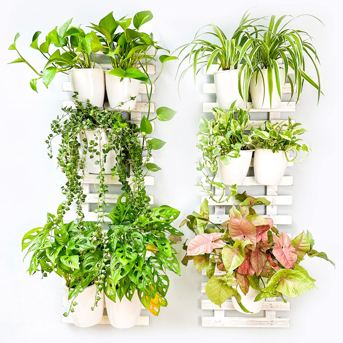 LaLaGreen White Wooden Ladder-Style Wall Plant Holders
