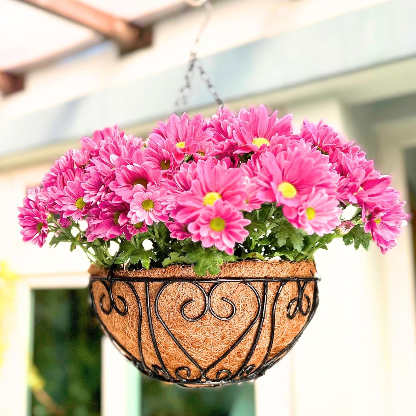 LaLaGreen Hanging Baskets for Plants (4 Pack, 14 Inch) Hanging Flower Pots with Coco Liner, Black Metal Wire Round Basket Plant Holder with Hanger Hook Chain, Outdoor Patio Deck Balcony Garden Decor