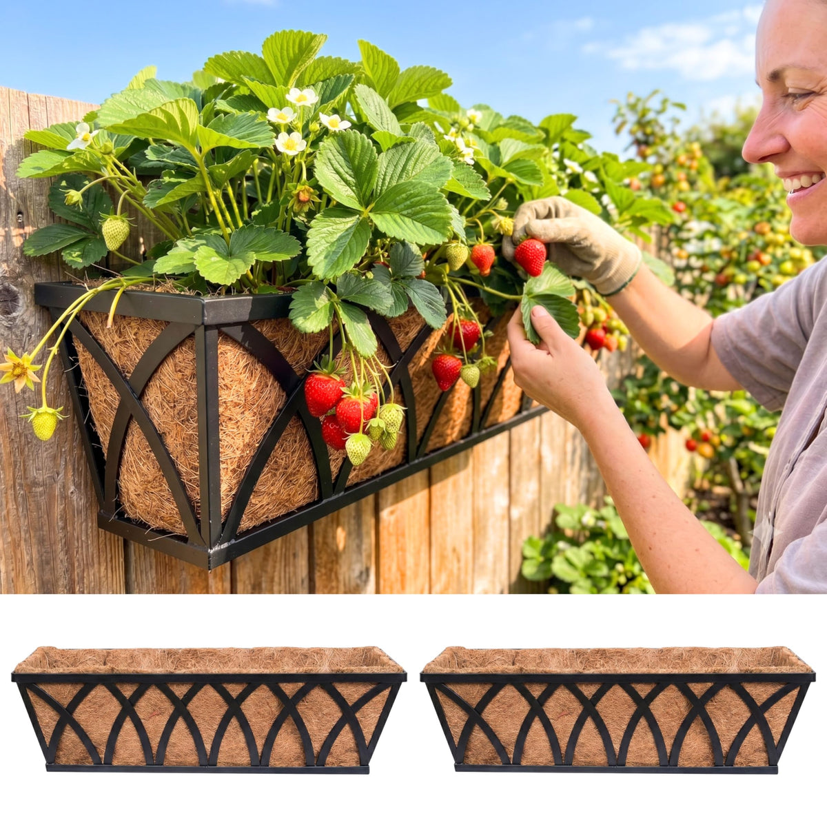 LaLaGreen Wall Planter (2 Pack, 24 Inch) Large Wall Hanging Planter Coco Liner Metal Iron Window Flower Boxes Outdoor Basket Box Attach House Outside Fence Rail Railing Plant Holder Deck Porch Balcony