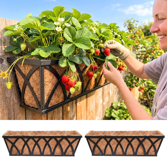 LaLaGreen Wall Planter (2 Pack, 24 Inch) Large Wall Hanging Planter Coco Liner Metal Iron Window Flower Boxes Outdoor Basket Box Attach House Outside Fence Rail Railing Plant Holder Deck Porch Balcony