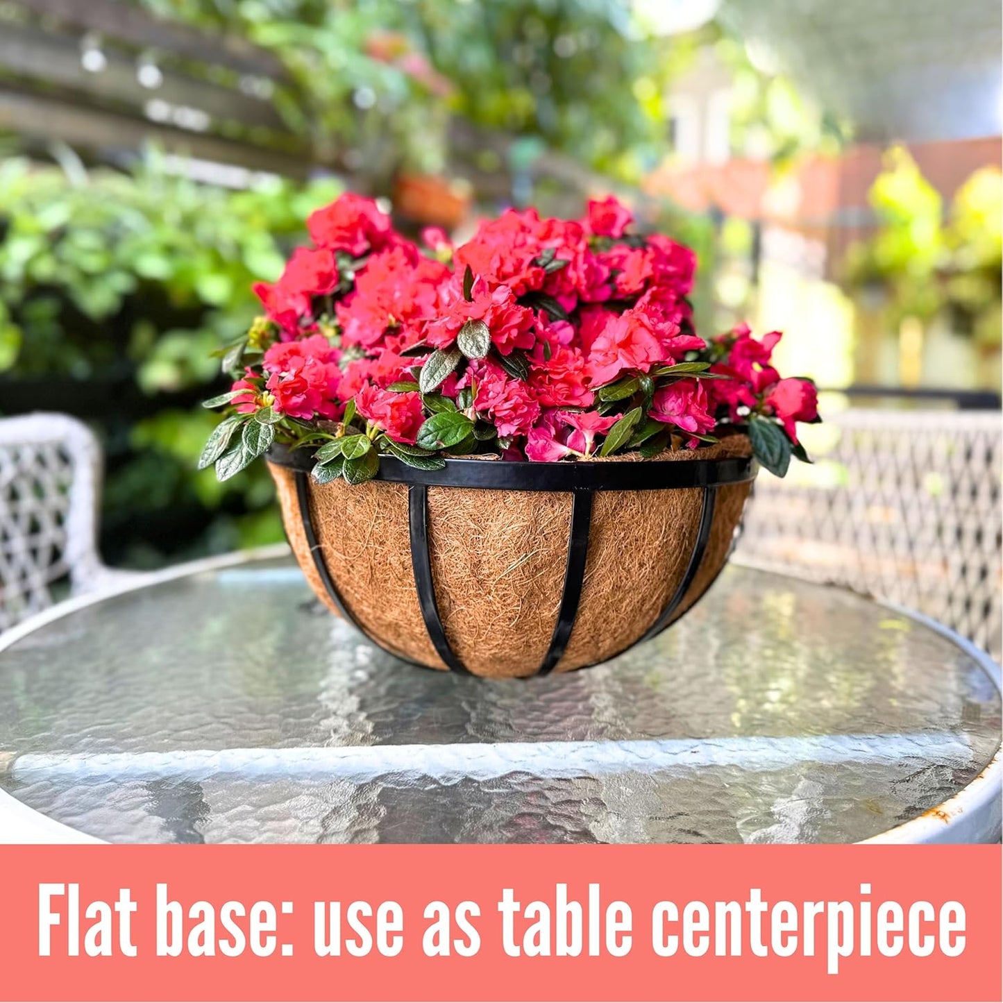 LaLaGreen Outdoor Hanging Baskets for Plants (6 Pack, 14 Inch) Large Black Hanging Planters with Coco Liner, Flat Iron Round Plant Metal Flower Pots for Deck Patio Porch Garden Balcony Outside Decor