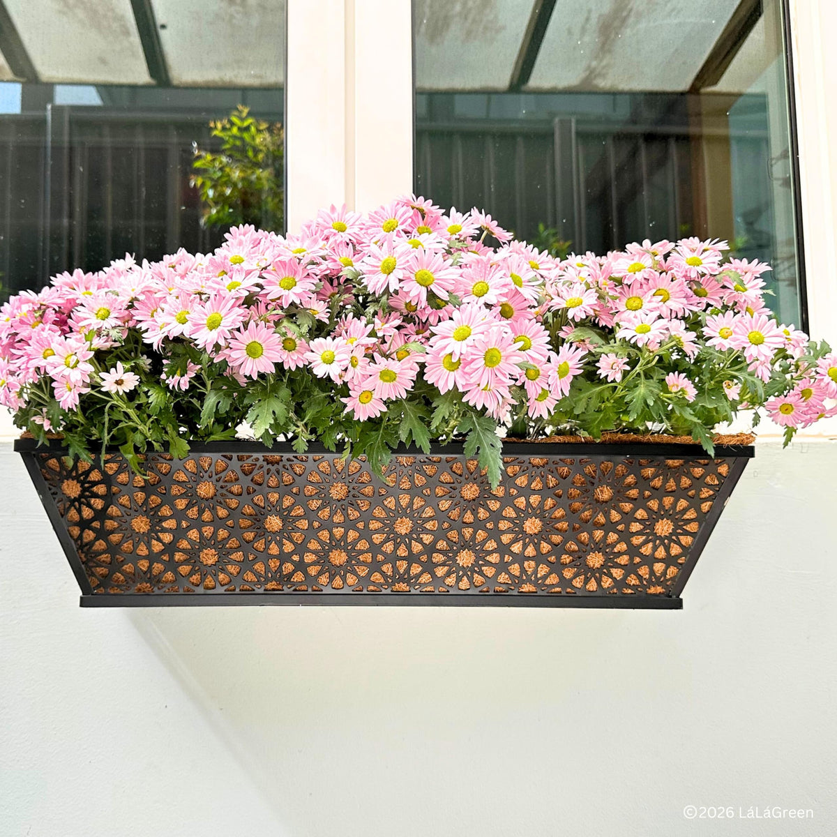 LaLaGreen Rectangular Coconut Coir Replacement Liners for Wall Planters