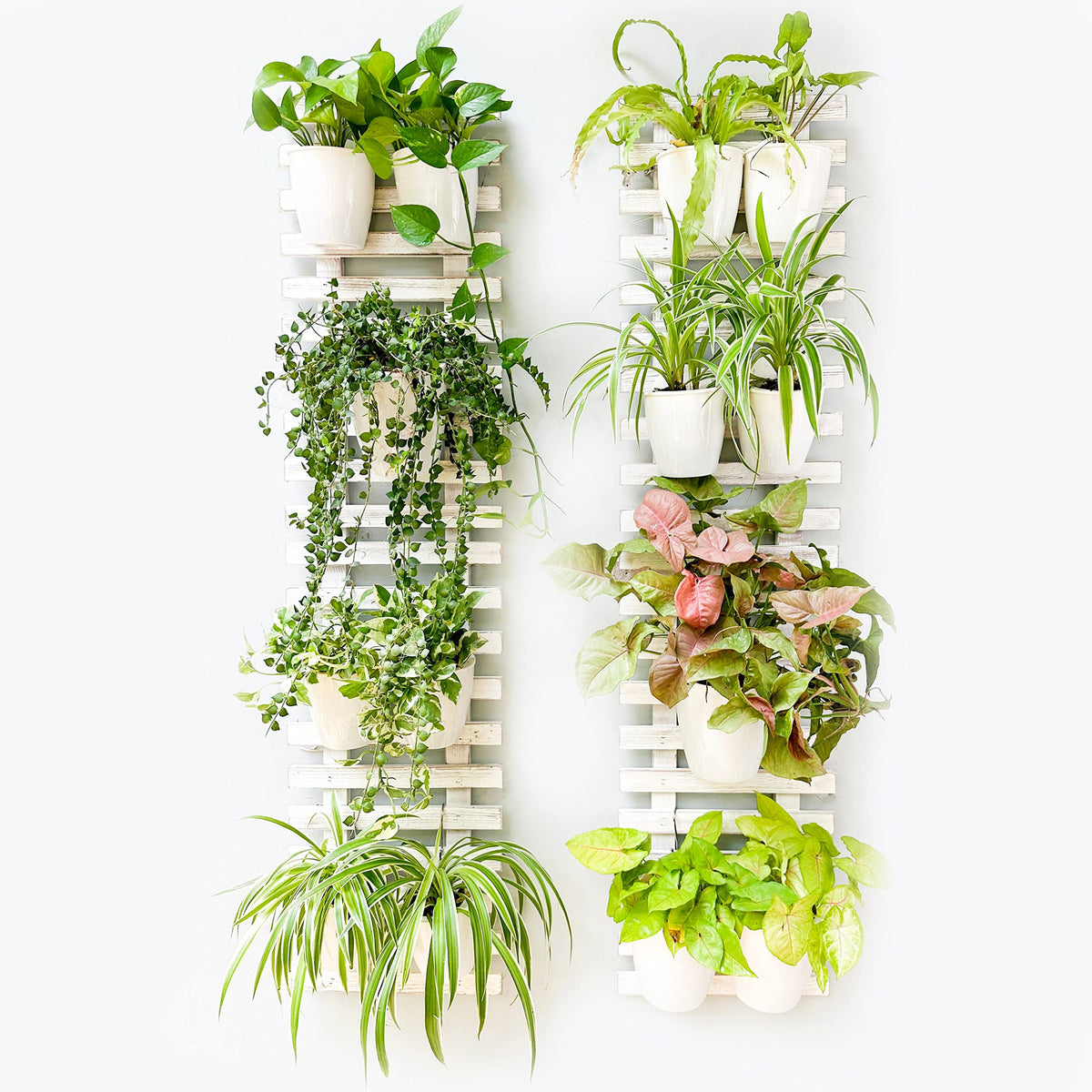 LaLaGreen White Wooden Ladder-Style Wall Plant Holders