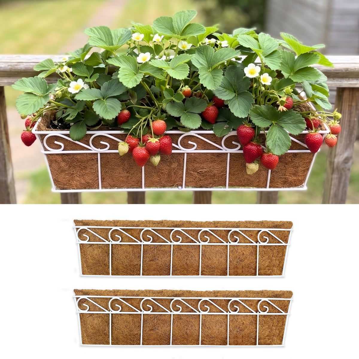 LaLaGreen Outdoor Window Box (24 in, 2 Pack) White Metal Coco Liner Trough