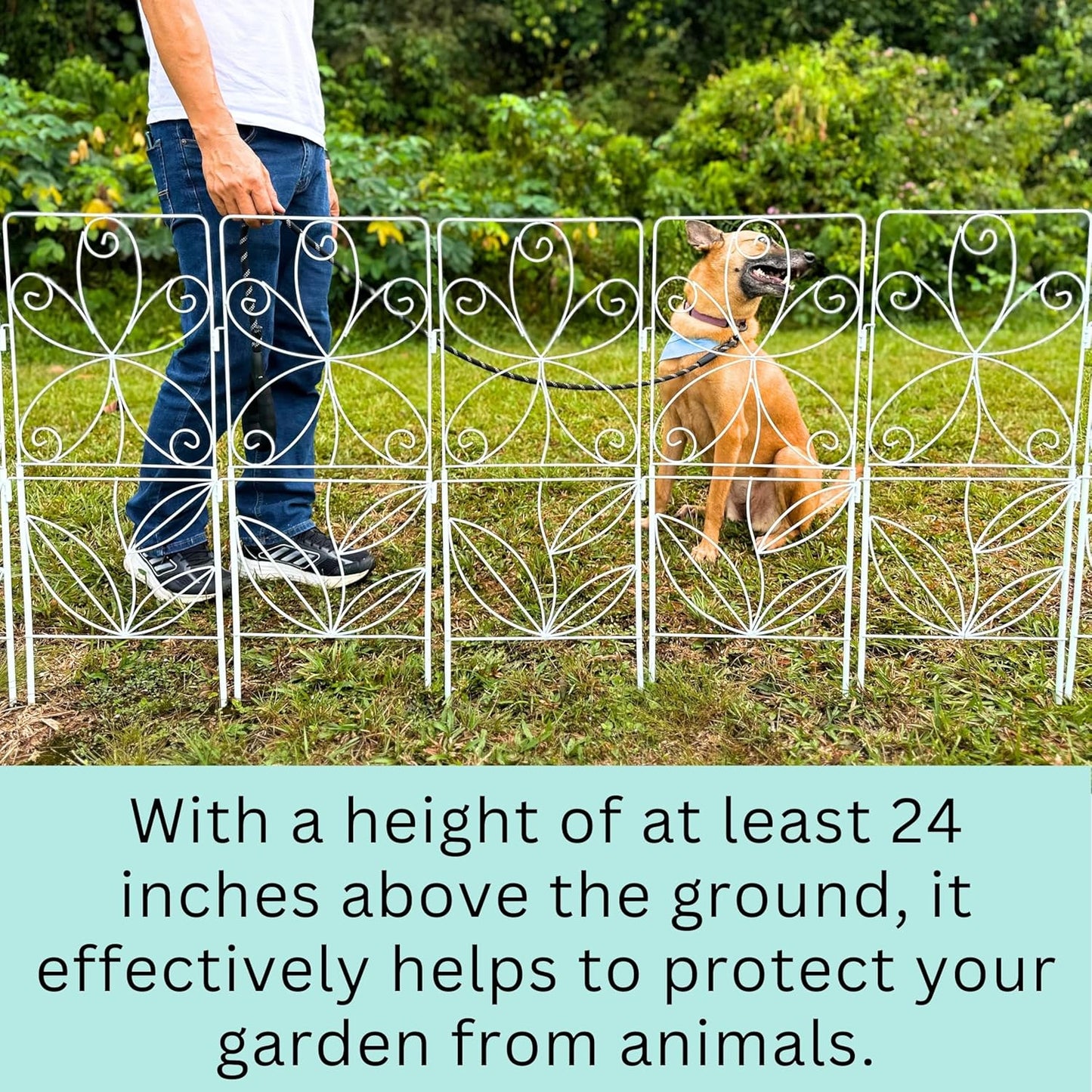 ShopLaLa Decorative Garden Fence (10 Panels) 12.5in(L) x 31in(H) Animal Barrier Fencing Rustproof White Metal Wire Flower Edging for Landscape, Small Dog Yard Gates Fences Tall No Dig Outdoor D-F30C