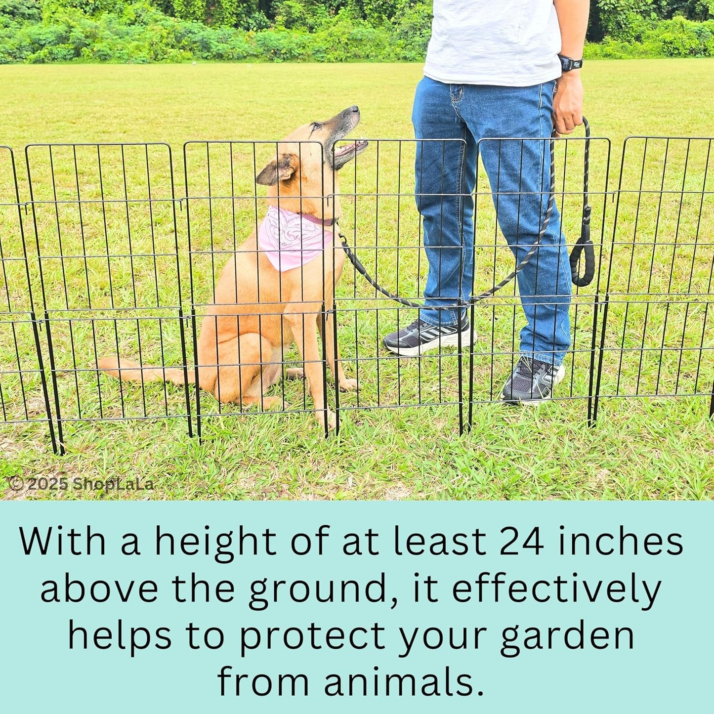 ShopLaLa Decorative Garden Fence Outdoor (10 Panels) 12.5in(L) x 31in(H) Animal Barrier Fencing Rustproof Black Metal Wire Flower Edging for Landscape, Small Dog No Dig Fences Backyard Gate D-F30A