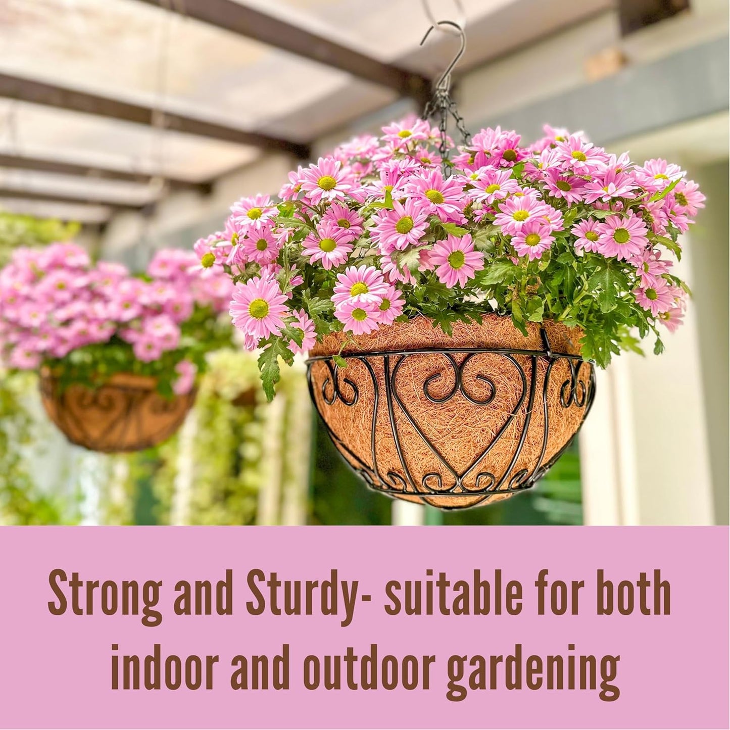 LaLaGreen Hanging Baskets for Plants (2 Pack, 12 Inch) Hanging Flower Pots with Coco Liner, Black Metal Wire Round Basket Plant Holder with Hanger Hook Chain, Outdoor Patio Deck Balcony Garden Décor