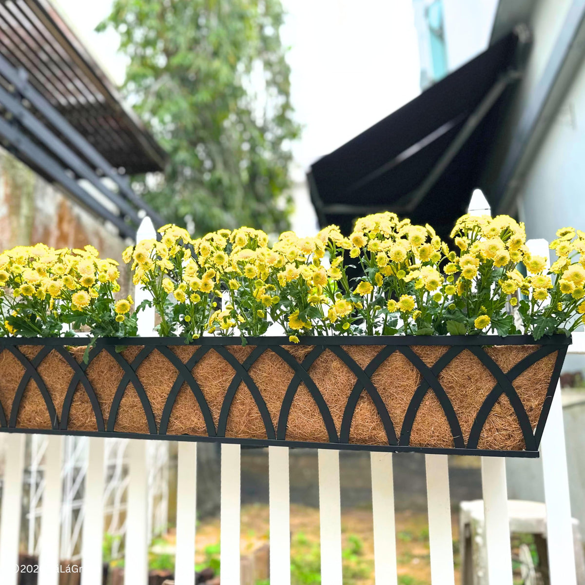 LaLaGreen Rectangular Coconut Coir Replacement Liners for Window Boxes